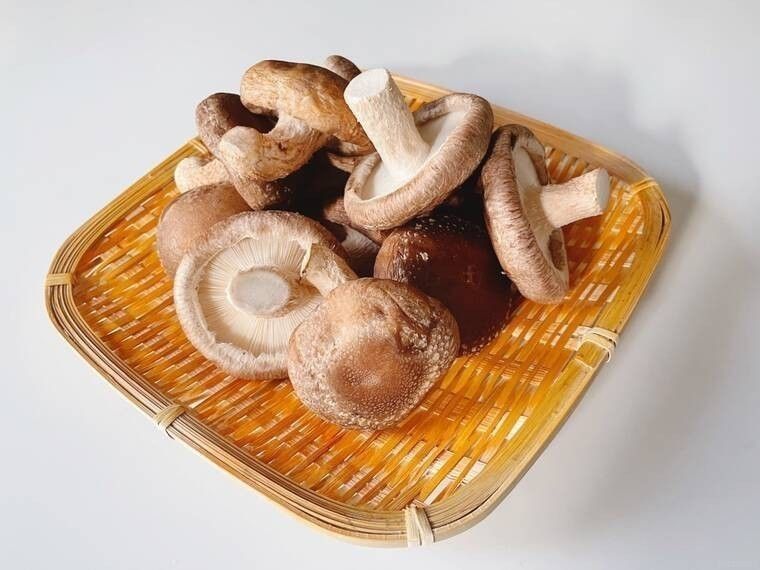 しいたけに発生した白いカビのようなものは食べられるの