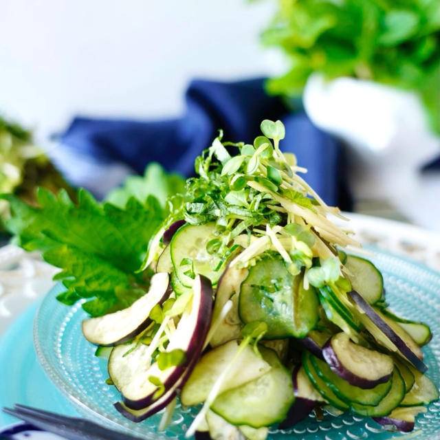 大葉つまみのレシピ おすすめの30選を紹介クラシル