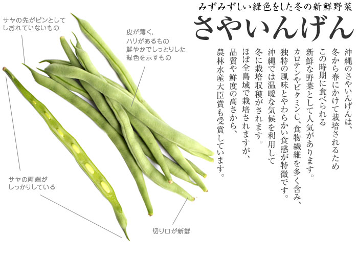 沖縄の宝、フーロー豆：栄養満点の伝統野菜とその多面的な魅力沖縄県 恩納村 産直市場 - おんなの駅 なかゆくい市場