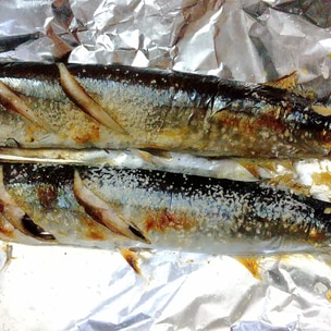 グリルで本格的！鮎の塩焼きの作り方♪ 下処理のポイント くぅのおうち居酒屋