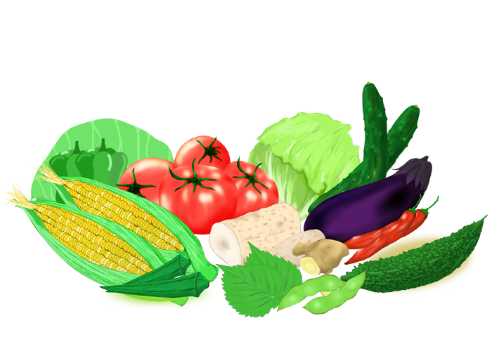 夏野菜イラストなら、小学校・幼稚園向け・保育園向けのかわいい無料イラストお試しフリー素材 カット がいっぱいの安心サイトへどうぞ