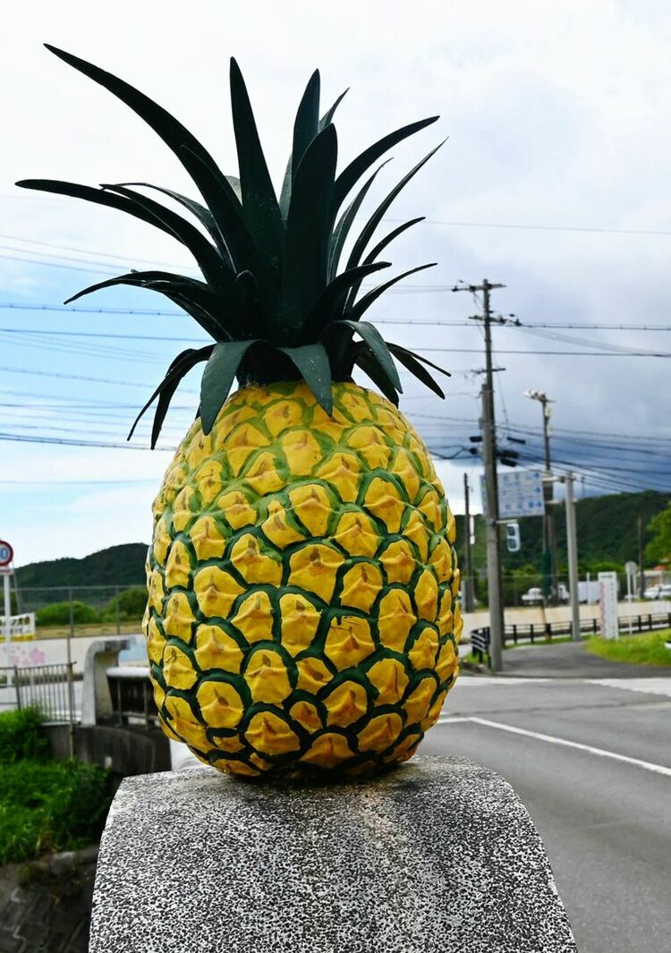 待ちに待った『パイナップル運動会♪』 にこにこ笑顔の年少組阿久比町