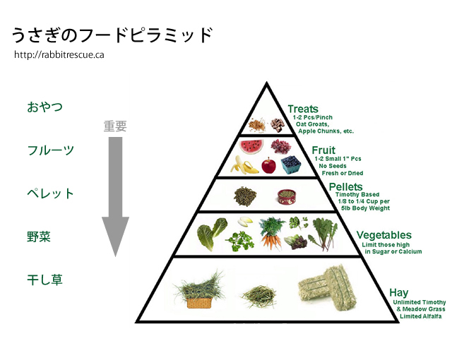 良い食べ物」のアイデア 13 件料理 レシピ, 体にいい食べ物, 食事バランスガイド