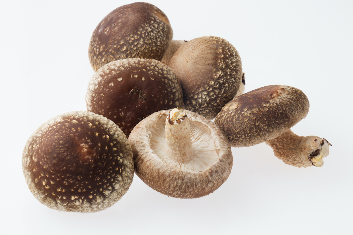 かさが黒っぽくなった椎茸をいくつか食べました。腐っていたので- Yahoo!知恵袋