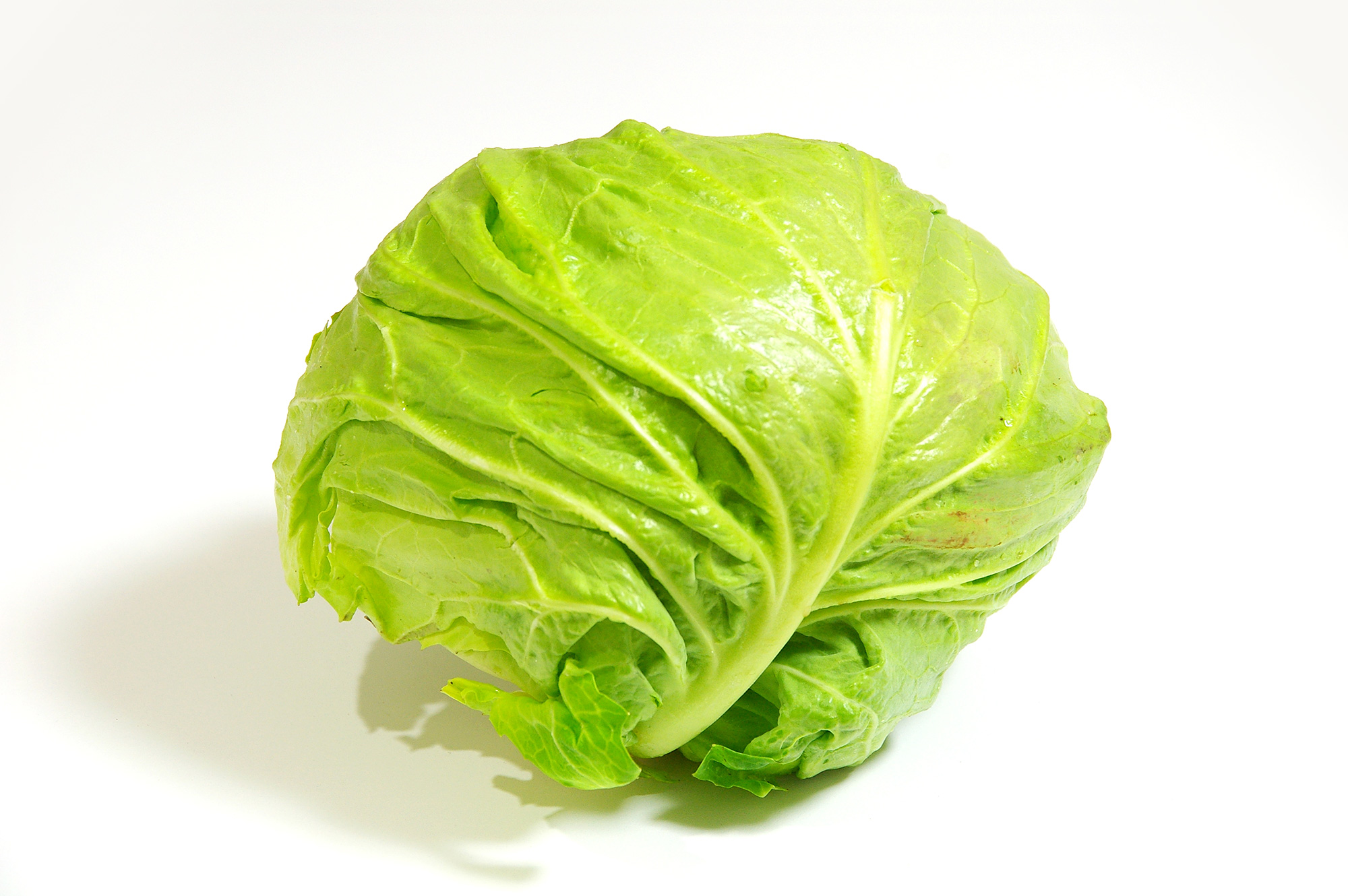 キャベツの無料イラストフリーイラスト素材集 ジャパクリップ