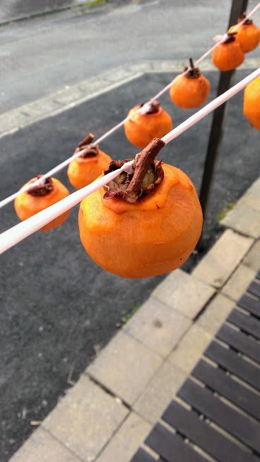 干し柿農家さん直伝！熱湯とお酢を使って干し柿をカビさせずに作る方法おしえて！田舎センセイ