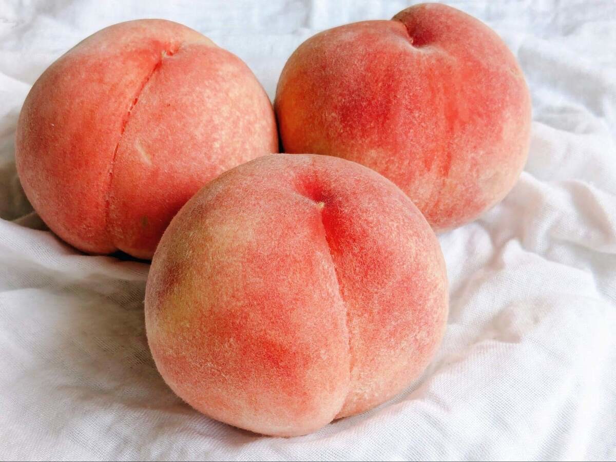 桃の黒い部分は食べられる？桃のカビと腐敗の見分け方を解説！産直プライムブログJA連携！産地直送通販なら産直プライム
