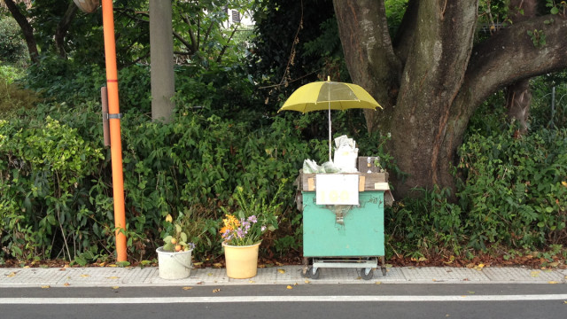 やむを得ず“無人販売所”を閉めることにした農家の女性“まさかの理由”に称賛の声「素晴らしい決断」「愛ですね」 画像小動物 ねとらぼ