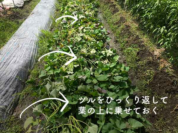 抽選券イベント・商店街- 無料テンプレート公開中 - 楽しもう Office