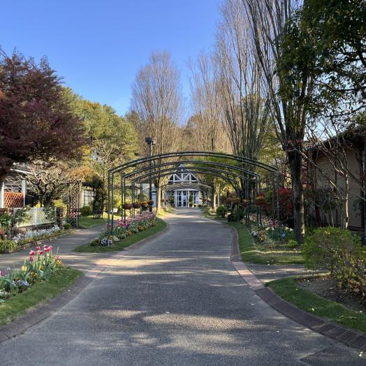 フローランテ宮崎周辺のご当地グルメランキング - じゃらんnet