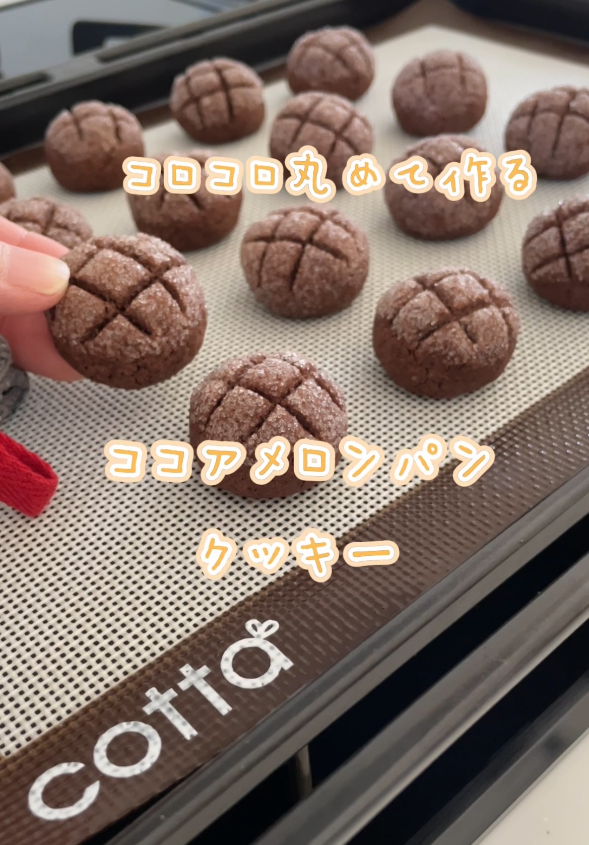 型抜きクッキー ココア東芝ライフスタイル株式会社