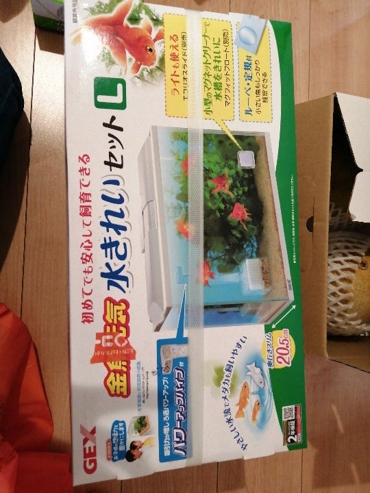 金魚鉢のおすすめ人気ランキング 2025年マイベスト