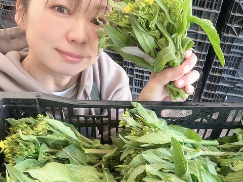 お魚料理 信州サーモンと菜の花の丼お魚レシピ - マルイチ産商