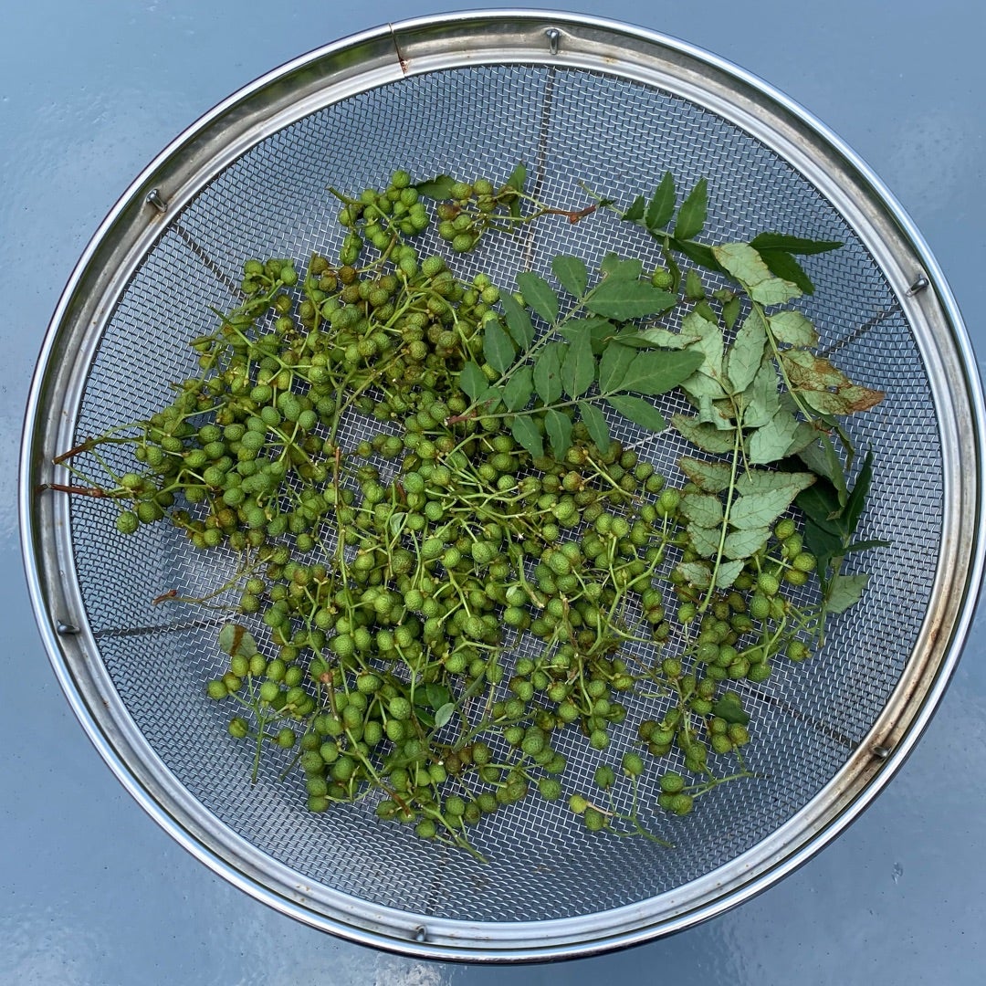 山椒の実と葉で山椒の粉 by mana07manaクックパッド簡単おいしいみんなのレシピが392万品