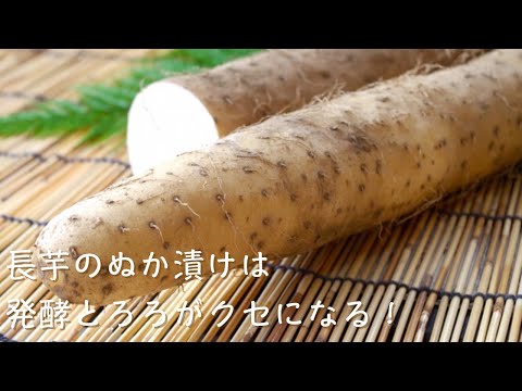 長芋の乳酸菌入りぬか漬け発酵レシピ漬けるドットコム