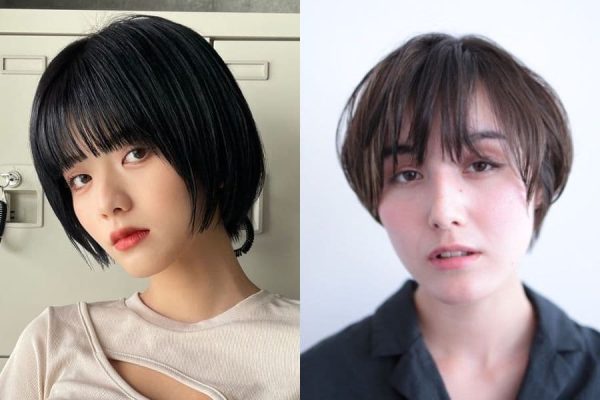 樹の種類で選ぶ