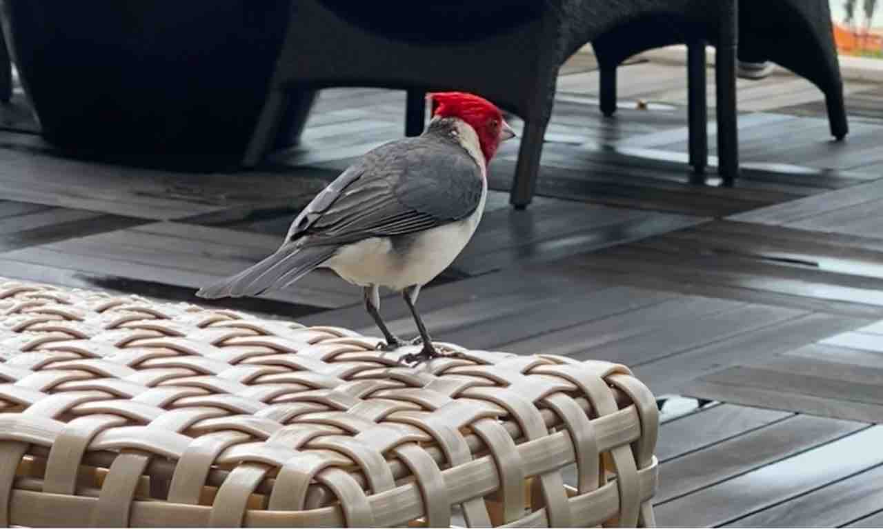フォーシーズンズホテル東京大手町 - 天空のダイニングで過ごす朝のひとときから始まる優美な一日 人気の選べる朝食付き- スーペリアルーム キングシティビュー - 宿泊予約は 一休.com