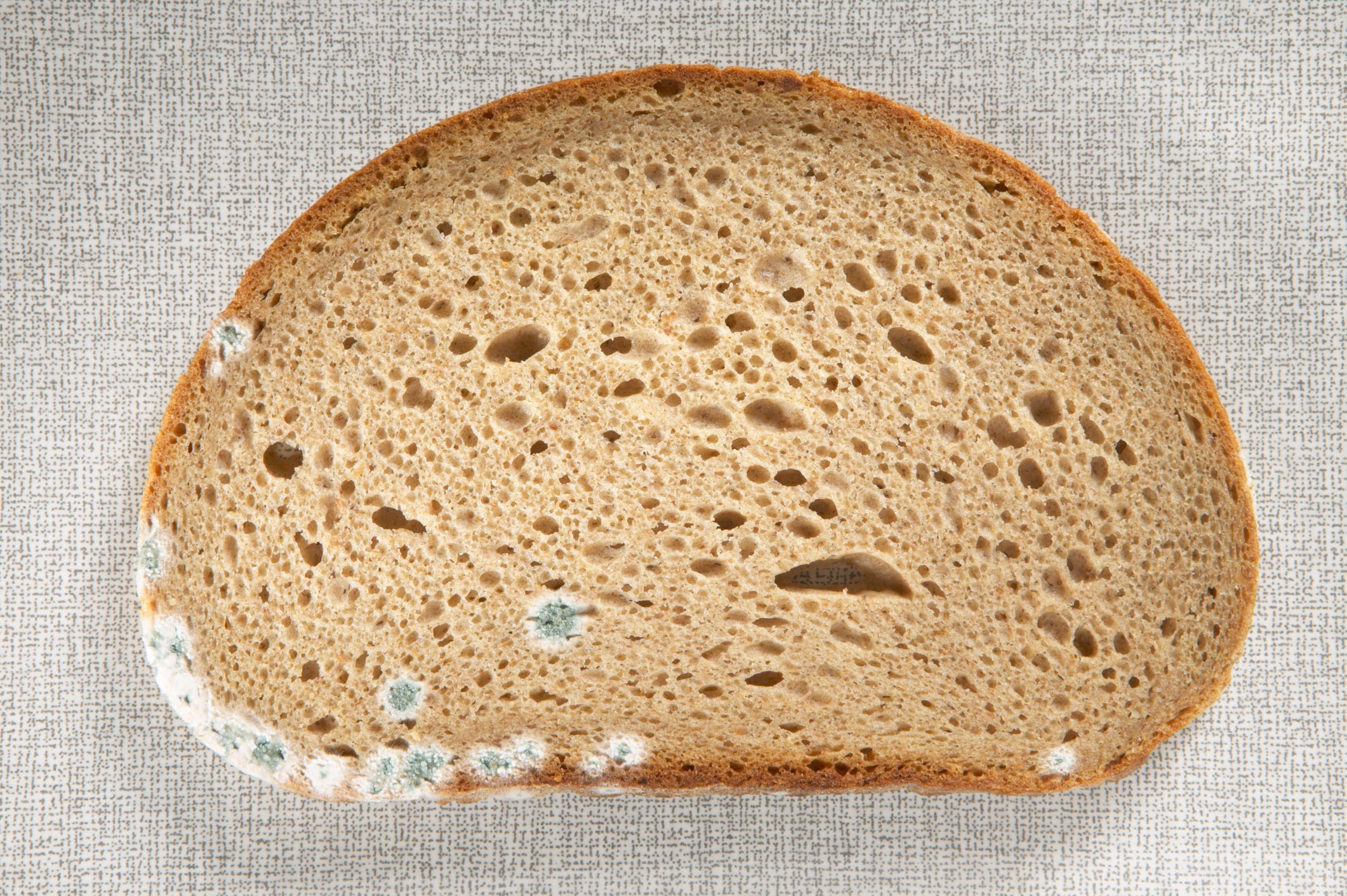 カビの生えたパンは食べても大丈夫？カビの色別の違いと防止する方法 – シュフーズ