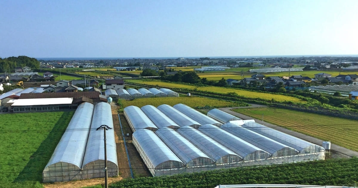 保存版 ビニールハウスの燃料費を節約する方法25選 イチゴの草勢は維持株式会社イチゴテック