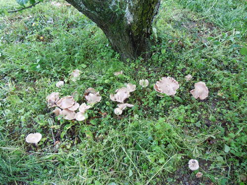 少し考えればわかる？「湿地」なんと読む？ 読めたらすごい漢字クイズsotokoto online ソトコトオンライン