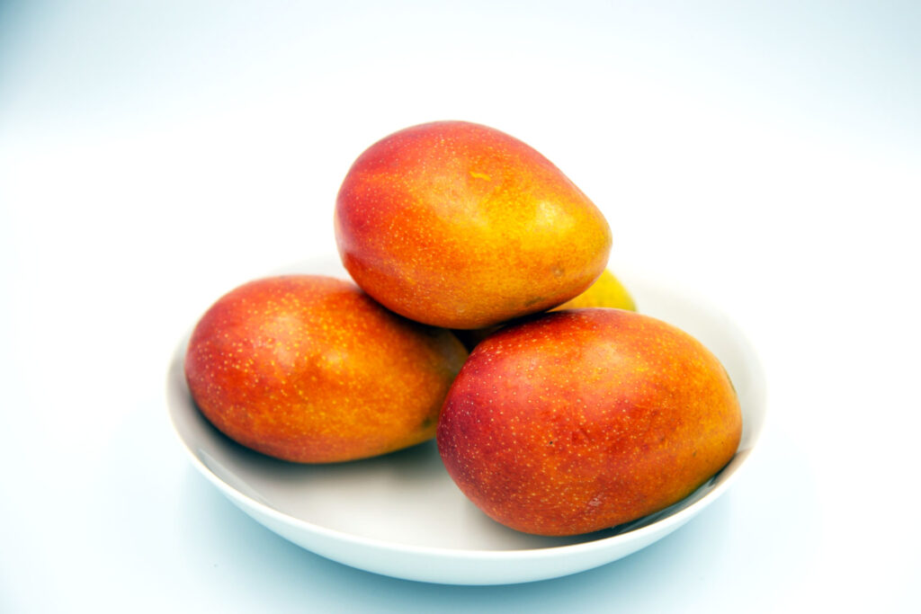 マンゴーのその後 : ビークロス好きの変なおじさん日記