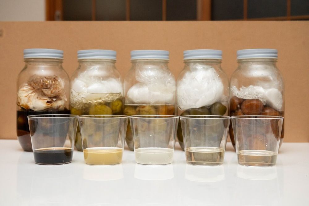 簡単な梅シロップの作り方