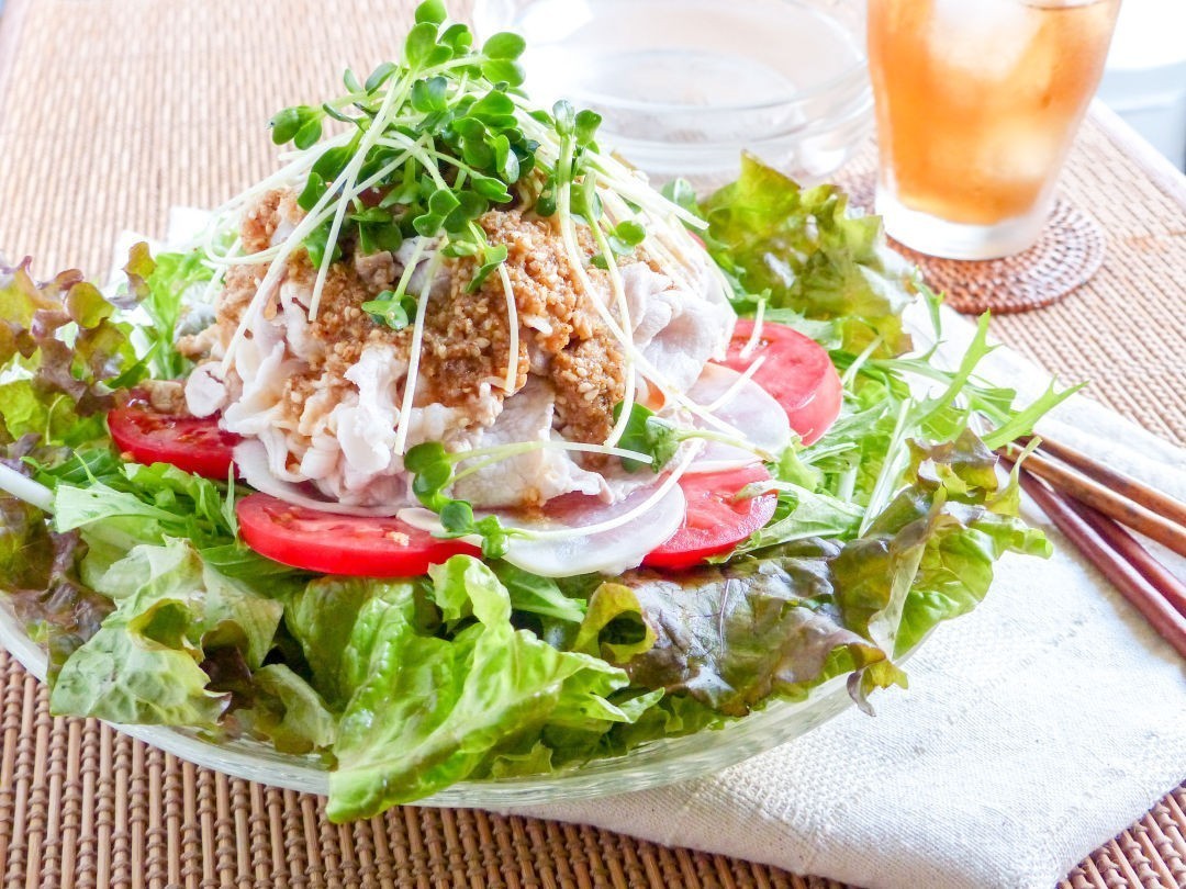 冷しゃぶサラダ