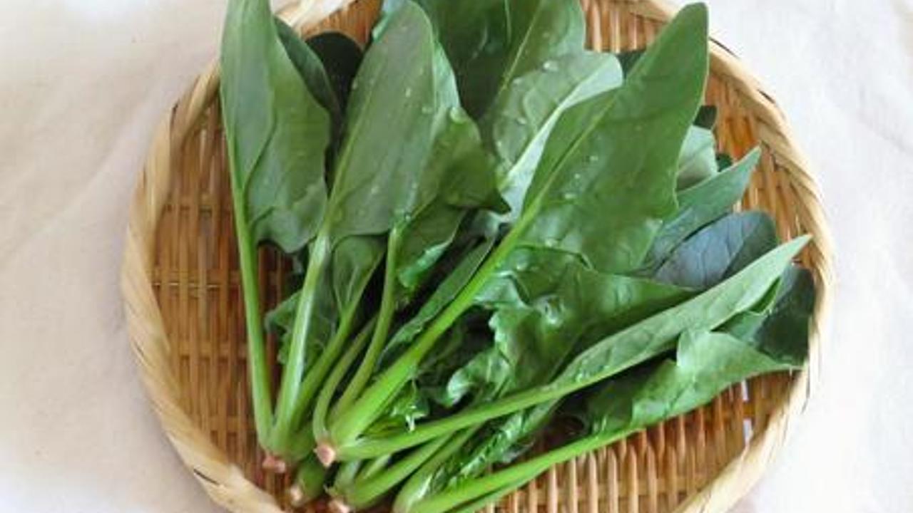 人参の葉っぱうさぎ農園熊本の無農薬イタリア野菜・ナチュラルファーム 通販・宅配