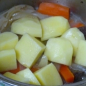 スーププレートでビーフシチューポーリッシュポタリーで料理をしよう