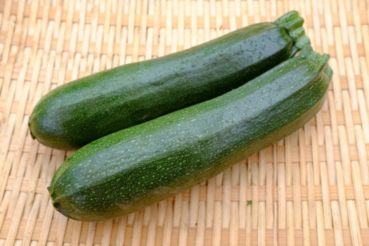 丸ズッキーニ立体栽培 授粉無しで実が肥大さとっちゃん菜園 ガーデニング