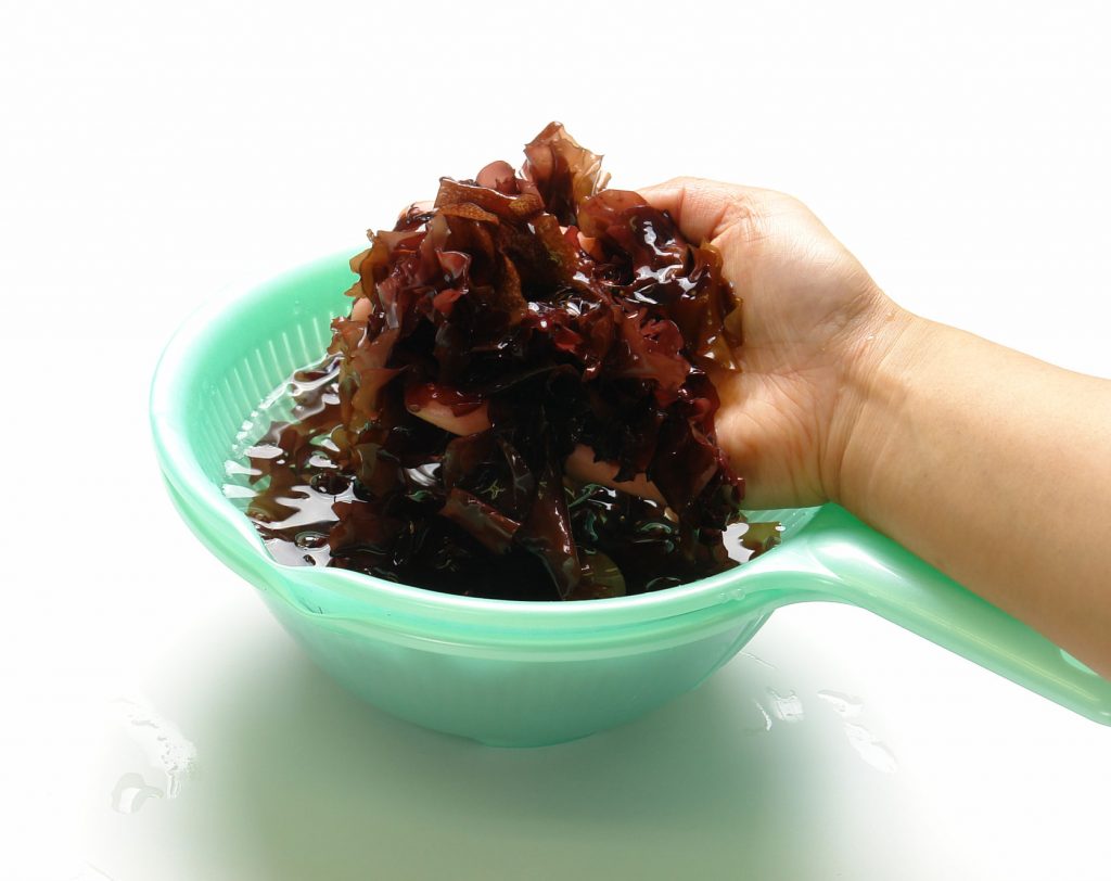 道端で拾った銀杏は食べれるのか！？銀杏の食べ方と処理方法をご紹介！ - 賃貸アパートと日々の生活