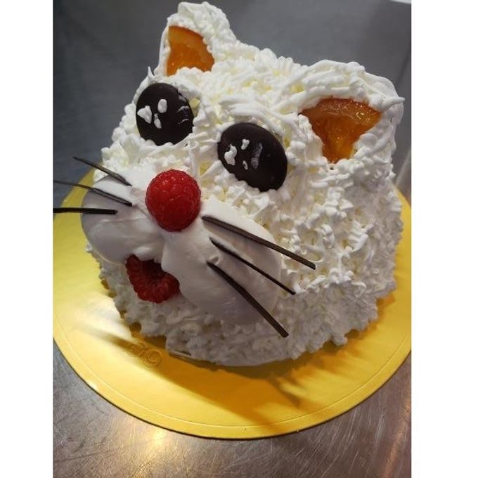 猫ケーキ”だらけのケーキ屋さんが可愛い！夫婦2人とも猫が大好きだった « 女子SPA
