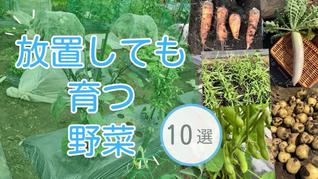 あいちの伝統野菜