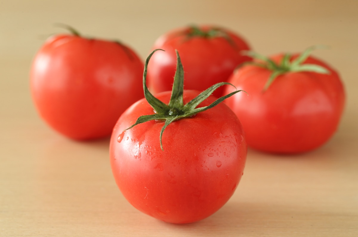 トマト とまと：旬の野菜百科