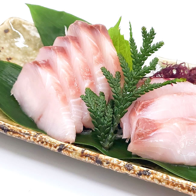 シイラは「まずい」？本当は美味しい魚だが刺身は要注意！GIJIE専科- SUPER