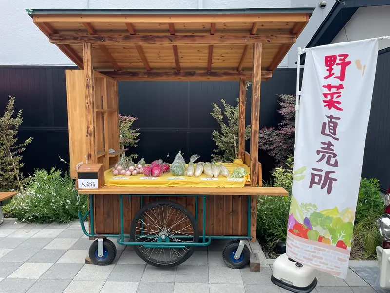 無人販売所の野菜の花コーナーに 春菊の花が仲間入り！🌼 そう、菊の花なんですねー 春菊だもんねー🌼