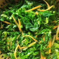 春キャベツとれたて食楽部 袋井市の農産物直売所