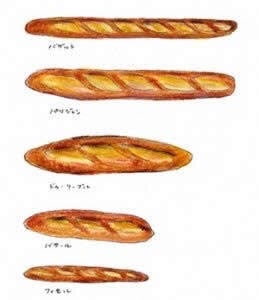 バゲットとバタールの違いは？フランスパンの種類を知ろう！お菓子・パン材料・ラッピングの通販 cotta＊コッタ