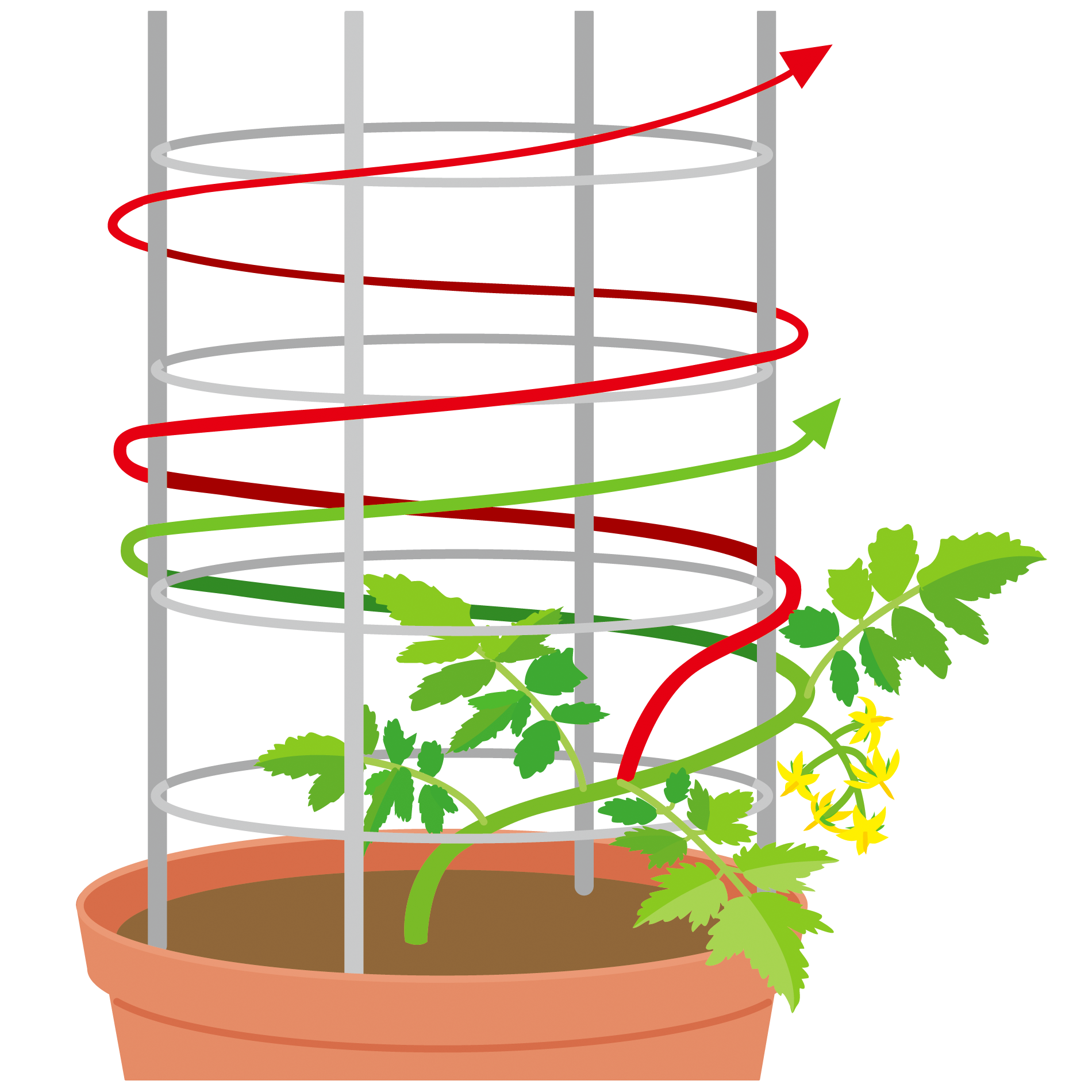 Amazonトマト支柱 観葉支柱 つる性植物 観葉植物 成長誘引 園芸支柱 三角形 自由に組み合わせる トマトベランダ栽培スタンド きゅうり棚野菜棚 空中栽培 植物サポート 花支え つる性植物支柱 ガーデニング用品 家庭菜園 農業用 園芸用三角形 高さ90cm 2段支柱