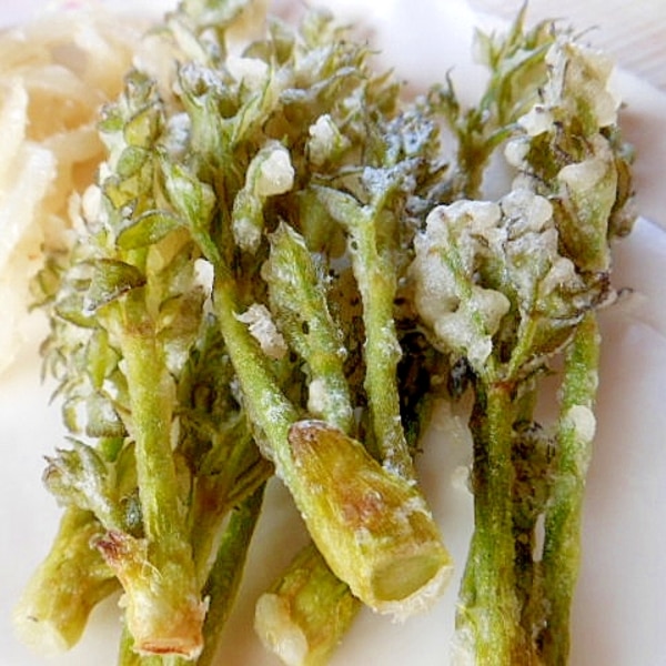 天ぷらは難しタラの芽、ウドの芽、コシアブラの天ぷら魚ココロあれば水ココロあり