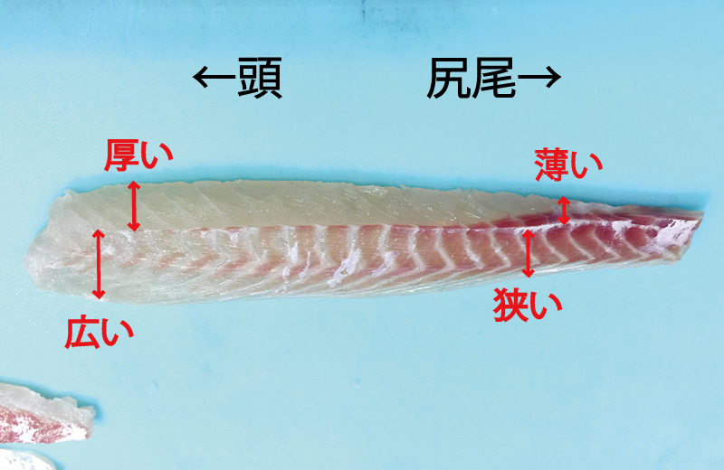 刺身の切り方を解説！基本の平造り＆そぎ切り長谷工グループ「ブランシエラクラブ」