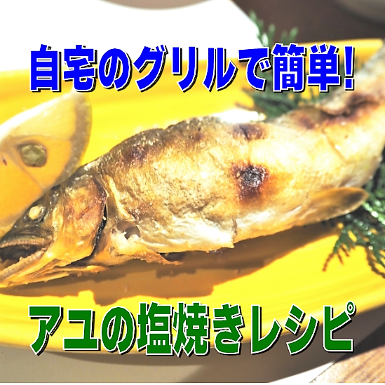 ヤマメの冷凍保存流心会活動ブログ鮎釣り・渓流釣り・磯釣り