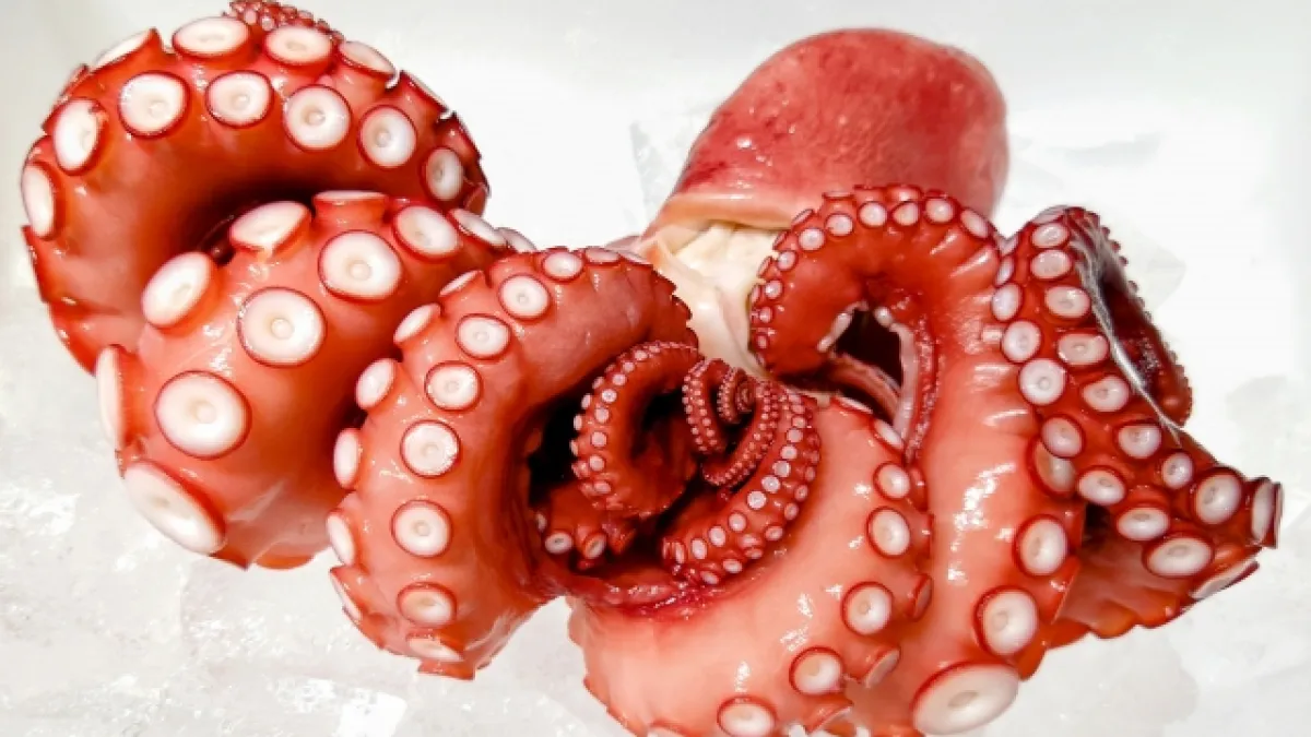 たこまんまの食べ方とレシピ - センターカット極めてきた😎