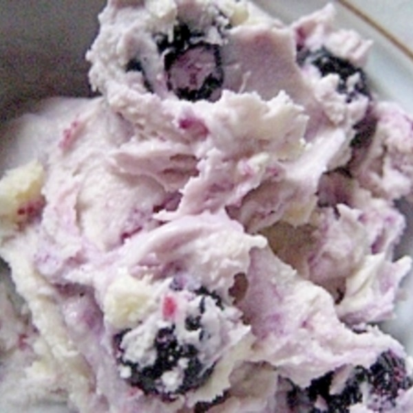 ブルーベリーアイスクリームUSハイブッシュブルーベリー協会