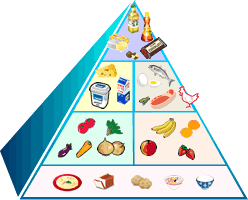 健康的に過ごすための「フードピラミッド」＆がん予防に効果的な「デザイナーズフードピラミッド」