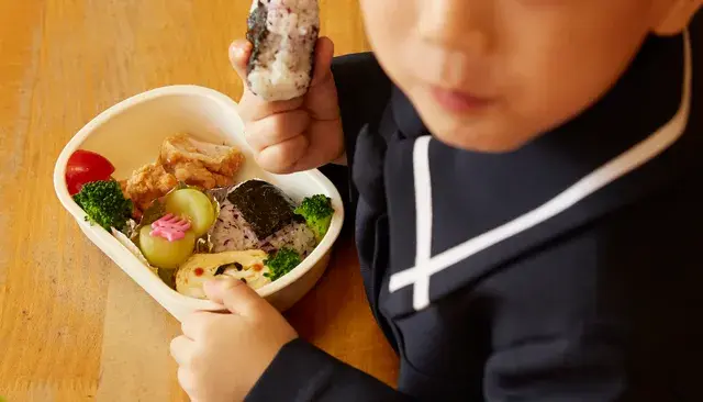 お弁当箱選びは意外と難しい！選び方の7つのポイント＆おすすめ商品お弁当の悩みを簡単解決するシリーズママテナ