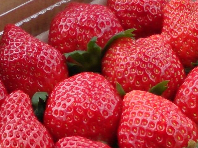 口コミ一覧 : 市東農園 いちご直売 - 東金 売店食べログ