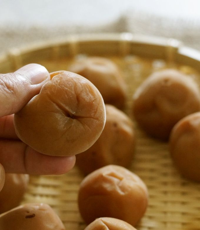 家庭で簡単にできる昔ながらの酸っぱい梅干しの作り方 失敗しないポイントも紹介！梅ボーイズのうめしごと