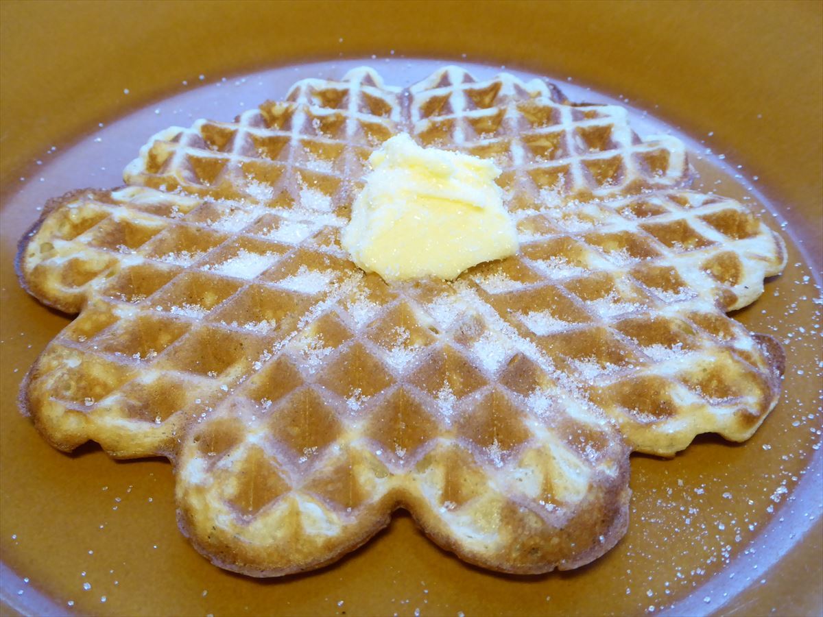 ワッフルな日塔と壁の日々