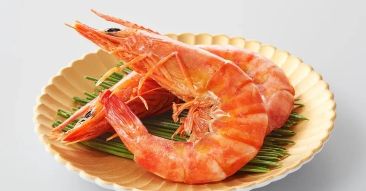 突然の禁輸措置で高級魚の養殖業者はパニックに 「禁止薬物の検出」が理由だが 政治問題が見え隠れ：東京新聞デジタル